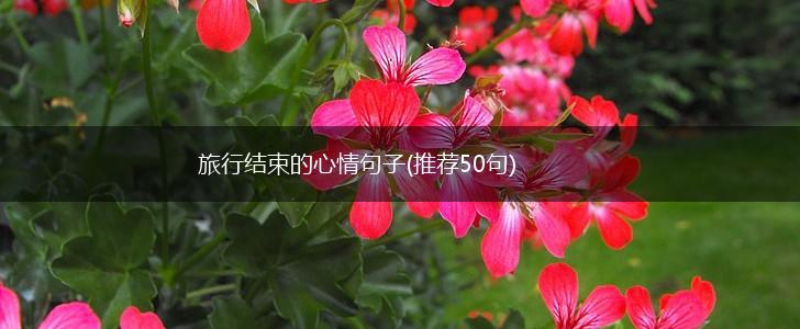 旅行结束的心情句子(推荐50句),第1张