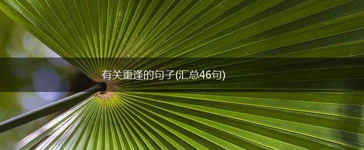 有关重逢的句子(汇总46句),第1张 有关重逢的句子(汇总46句),第1张