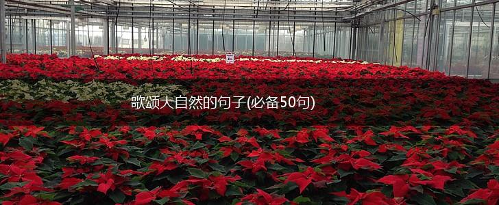 歌颂大自然的句子(必备50句),第1张