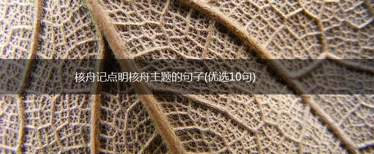 核舟记点明核舟主题的句子(优选10句),第1张