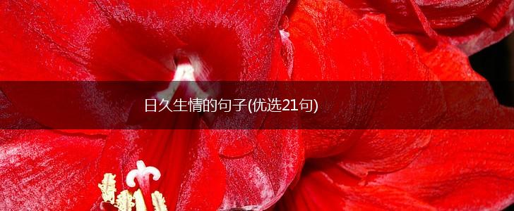 日久生情的句子(优选21句),第1张