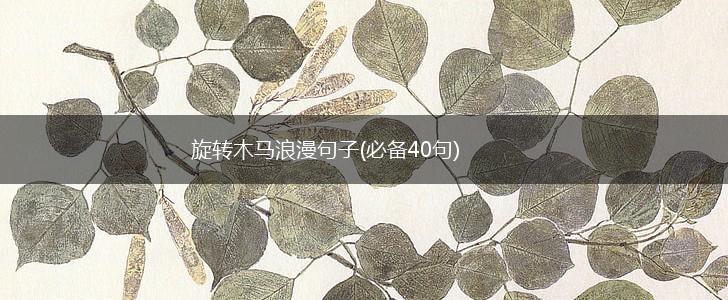 旋转木马浪漫句子(必备40句),第1张