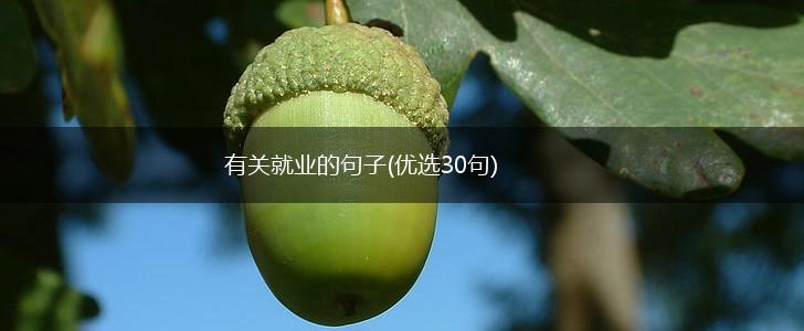 有关就业的句子(优选30句),第1张