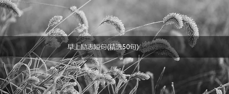 早上励志短句(精选50句),第1张