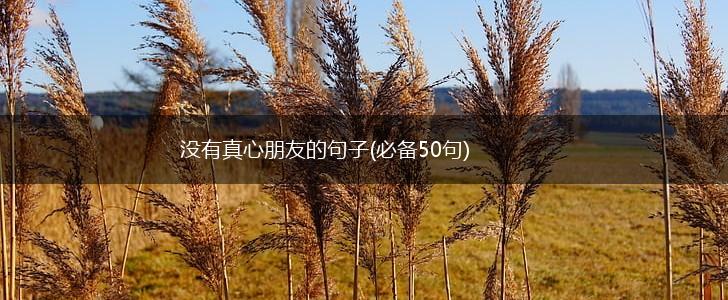 没有真心朋友的句子(必备50句),第1张