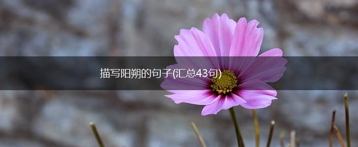 描写阳朔的句子(汇总43句),第1张