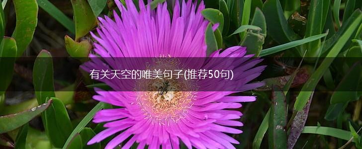 有关天空的唯美句子(推荐50句),第1张