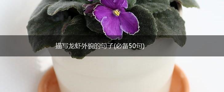 描写龙虾外貌的句子(必备50句),第1张