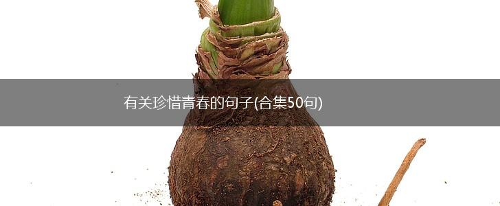有关珍惜青春的句子(合集50句),第1张