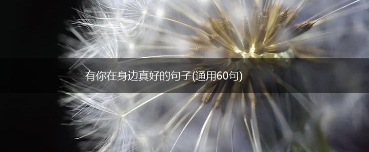 有你在身边真好的句子(通用60句),第1张