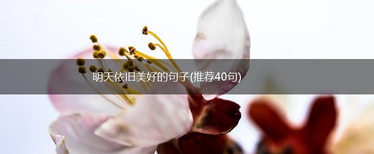 明天依旧美好的句子(推荐40句),第1张
