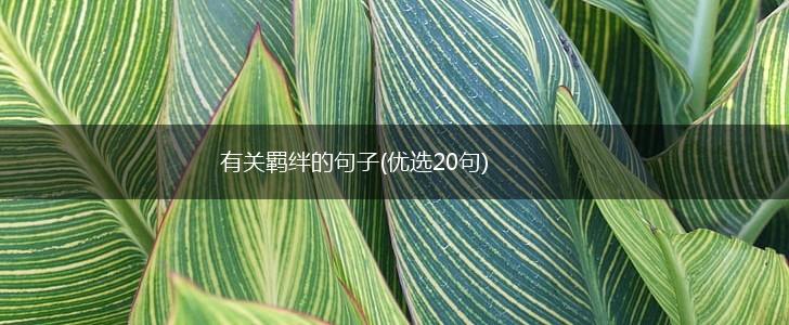 有关羁绊的句子(优选20句),第1张