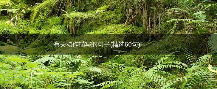 有关动作描写的句子(精选60句),第1张