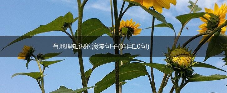 有地理知识的浪漫句子(通用10句),第1张