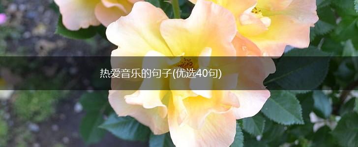 热爱音乐的句子(优选40句),第1张