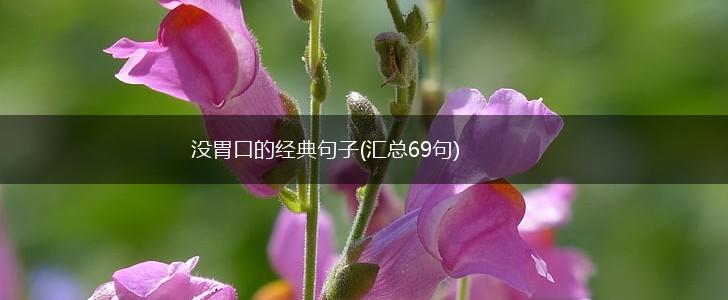 没胃口的经典句子(汇总69句),第1张