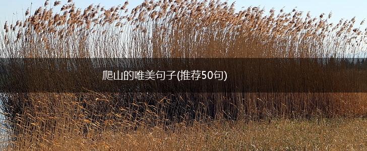 爬山的唯美句子(推荐50句),第1张