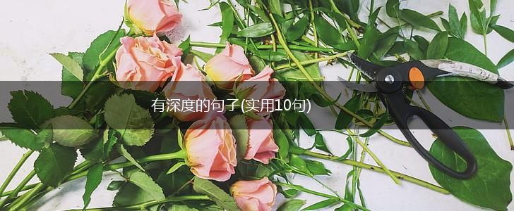 有深度的句子(实用10句),第1张