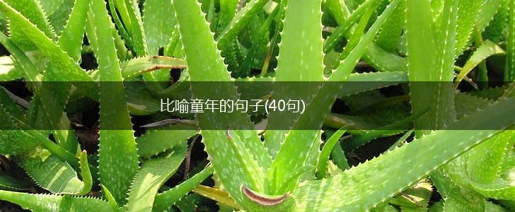 比喻童年的句子(40句),第1张