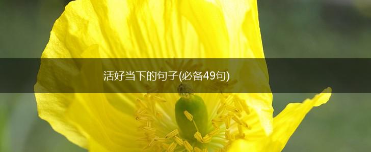 活好当下的句子(必备49句),第1张