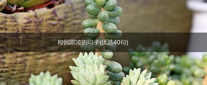 校园欺凌的句子(优选40句),第1张