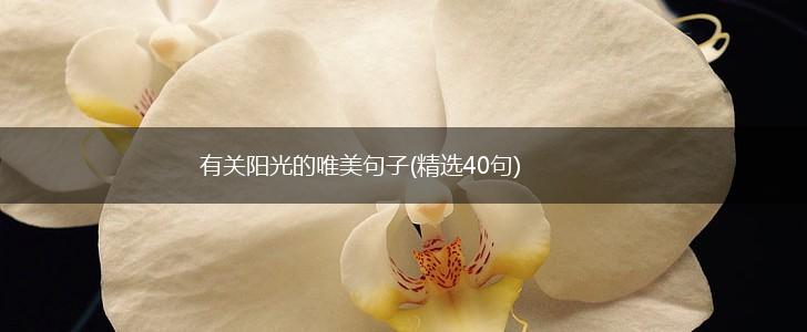 有关阳光的唯美句子(精选40句),第1张