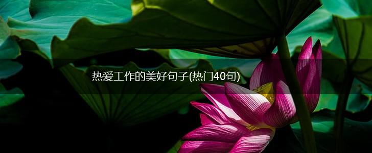 热爱工作的美好句子(热门40句),第1张