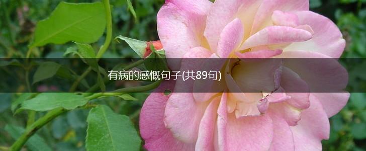 有病的感慨句子(共89句),第1张 有病的感慨句子(共89句),第1张