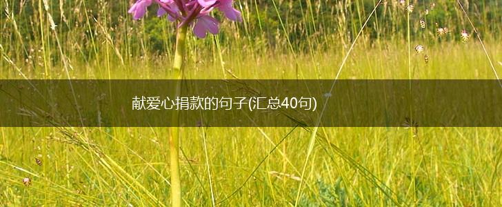 献爱心捐款的句子(汇总40句),第1张