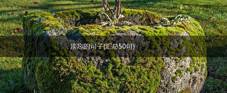 淡忘的句子(汇总50句),第1张