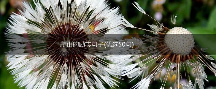爬山的励志句子(优选50句),第1张
