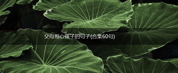 父母担心孩子的句子(合集60句),第1张