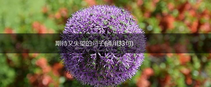 期待又失望的句子(通用33句),第1张