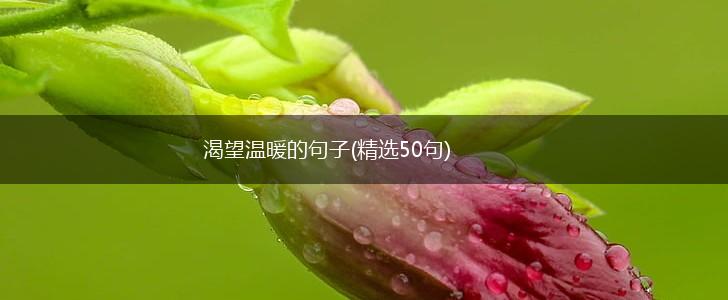 渴望温暖的句子(精选50句),第1张