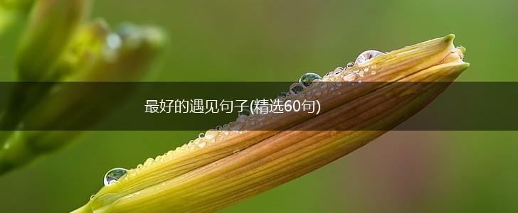 最好的遇见句子(精选60句),第1张