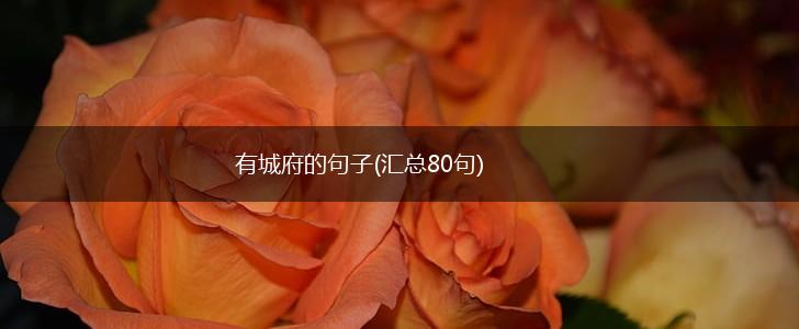 有城府的句子(汇总80句),第1张 有城府的句子(汇总80句),第1张