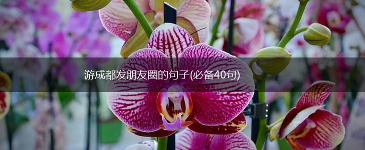 游成都发朋友圈的句子(必备40句),第1张