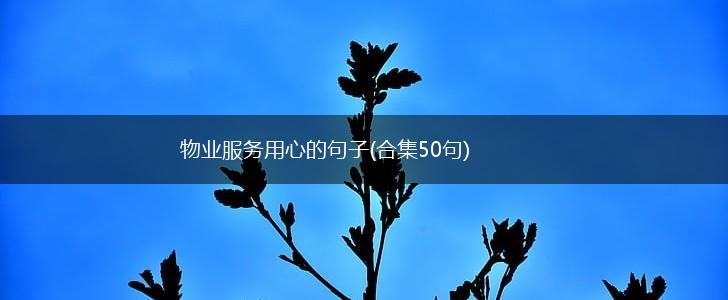 物业服务用心的句子(合集50句),第1张