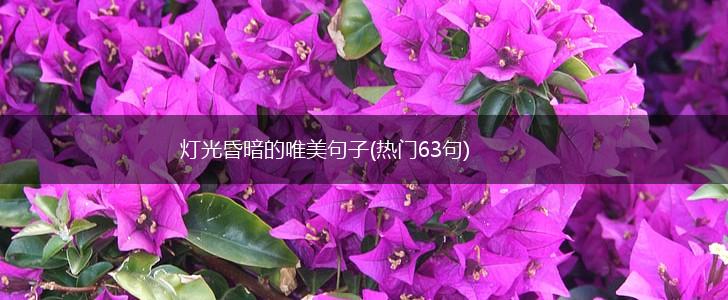 灯光昏暗的唯美句子(热门63句),第1张 灯光昏暗的唯美句子(热门63句),第1张