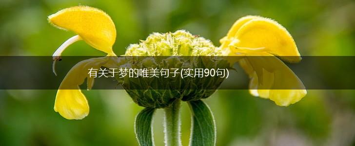 有关于梦的唯美句子(实用90句),第1张