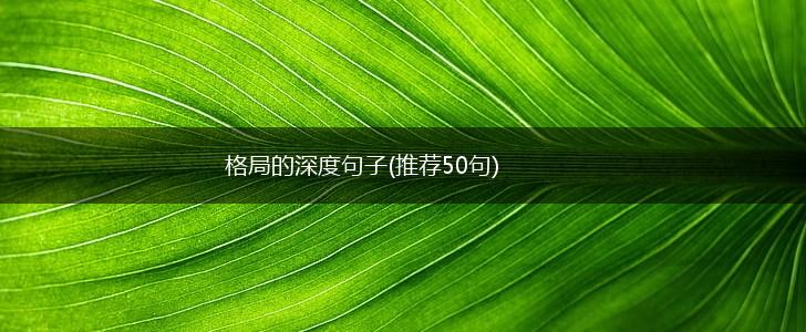 格局的深度句子(推荐50句),第1张