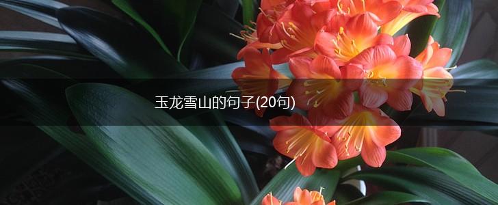 玉龙雪山的句子(20句),第1张