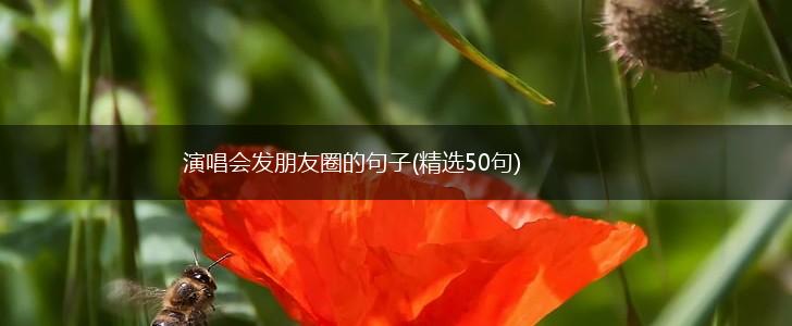 演唱会发朋友圈的句子(精选50句),第1张