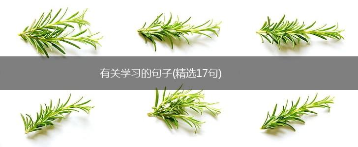 有关学习的句子(精选17句),第1张