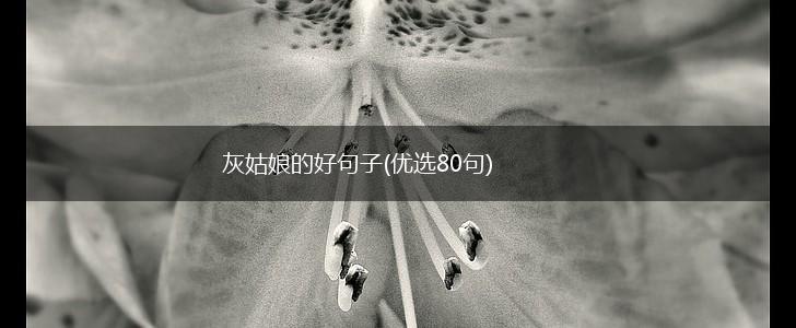 灰姑娘的好句子(优选80句),第1张