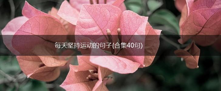 每天坚持运动的句子(合集40句),第1张