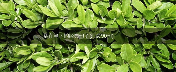 活在当下的经典句子(汇总90句),第1张