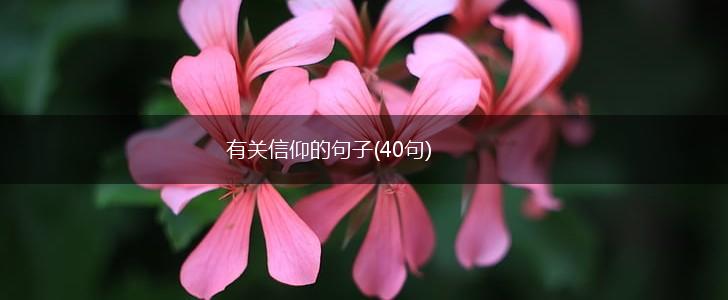有关信仰的句子(40句),第1张