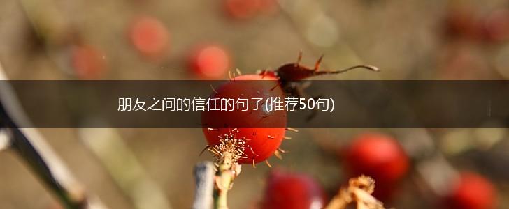 朋友之间的信任的句子(推荐50句),第1张