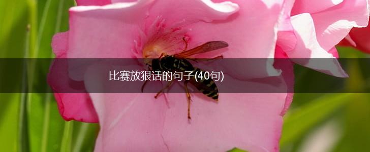 比赛放狠话的句子(40句),第1张